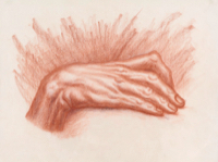 Human Hand 20 - Version 2